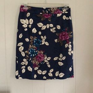 Ann Taylor Skirt